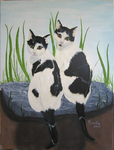 YinYang