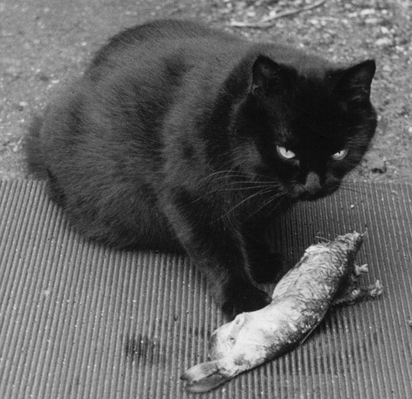 This is MINE!