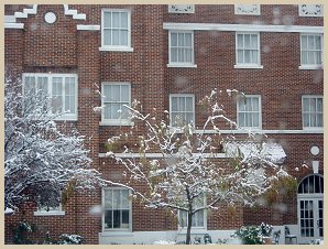 Let it snow
