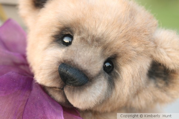 Teddy Bear