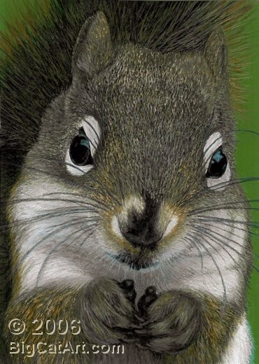 Bright Eyed & Bushy Tailed
