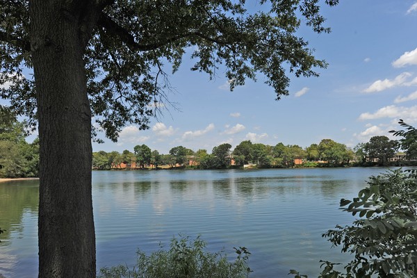 Dover Silver Lake