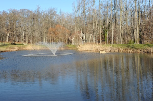 Rockford Park Pond