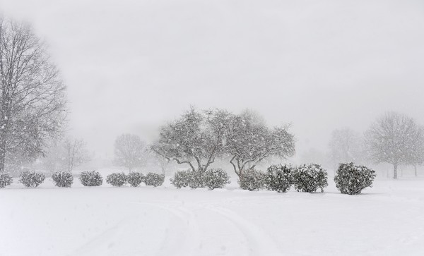 Battery Park Snow