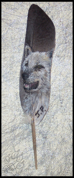 The White Wolf Feather