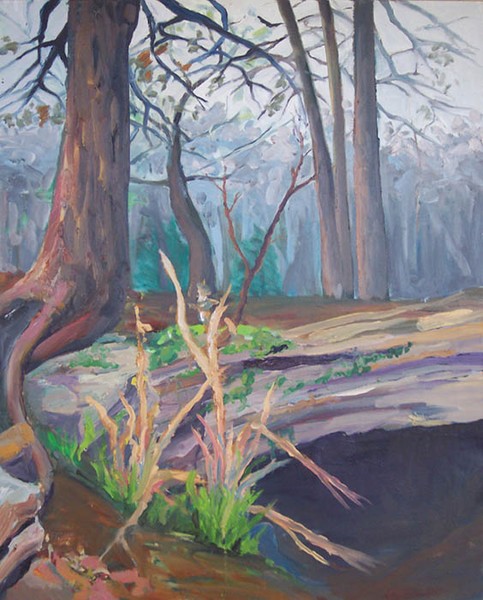 Walking Trail