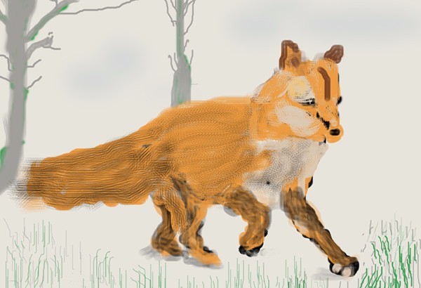Fox Trot in the Snow O655