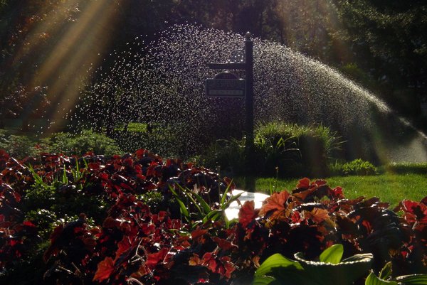 Sprinkler 2