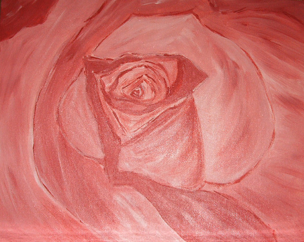 Pink Rose
