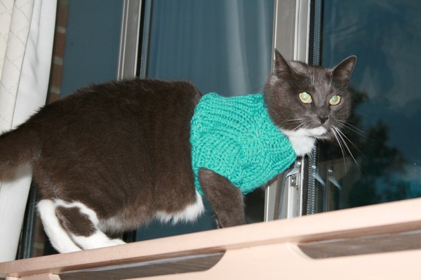 Its even got cold for my cat!!