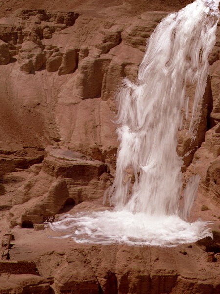 Where's Moses 
