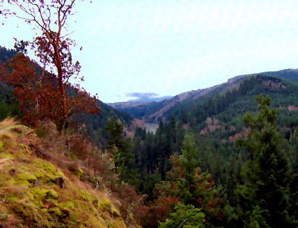Nisqually River Dam 
