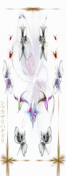 frilled coquette