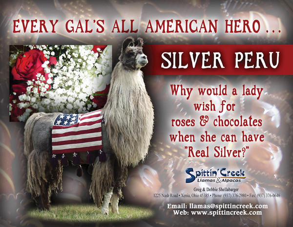 Spittin'Creek Febrary Calendar Ad