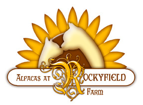 Alpacas at Rockyfield Farm