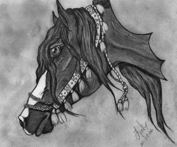 Beautiful Bedouin