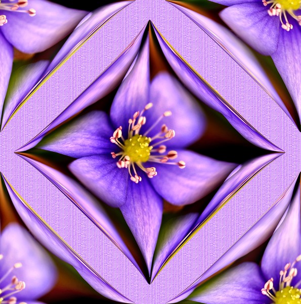 Pretty Purple Petals (Two)
