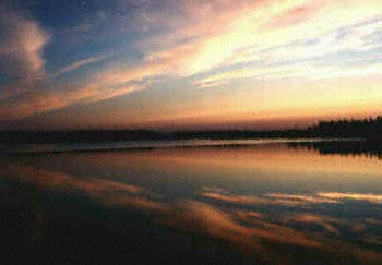 Cobbs Pond