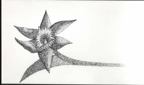 stippling drawn flower
