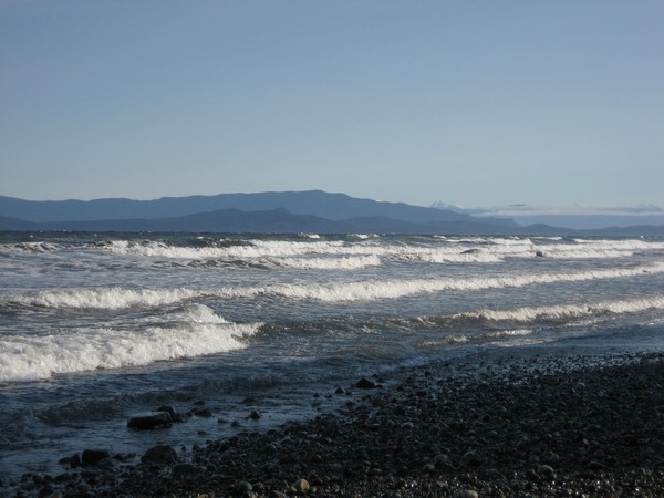 Waves