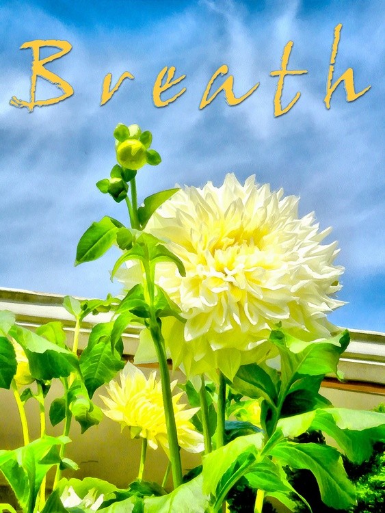Breath
