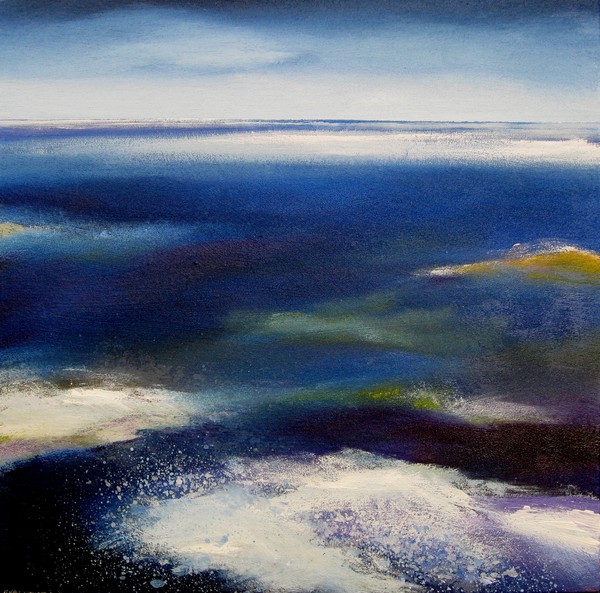 Zeeland saltings.