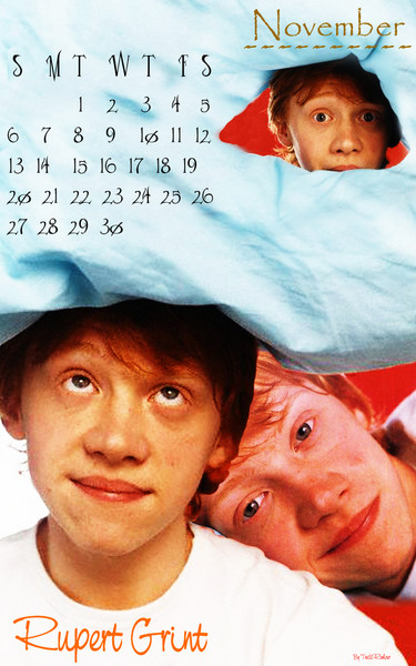 Rupert Grint Calendar (November)