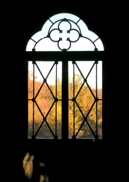 Looking Out From Darkness