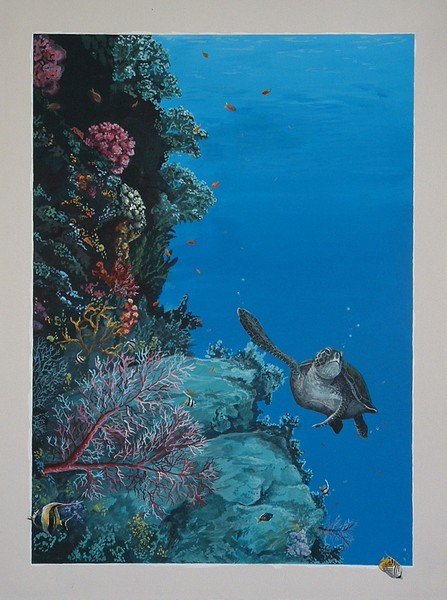 Coral reef