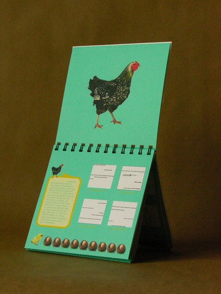 A Book Design (Inside)