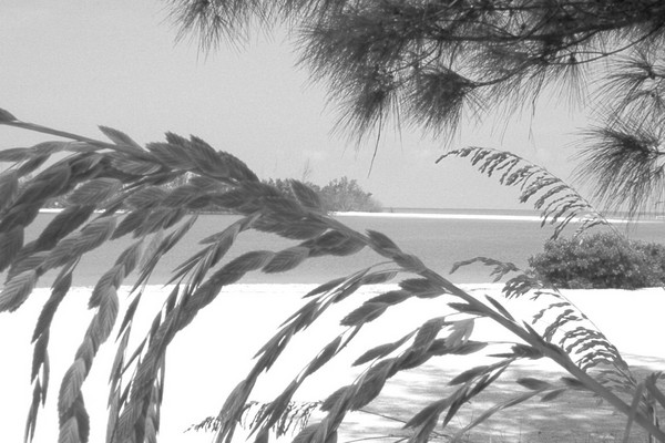 B/W BEACH