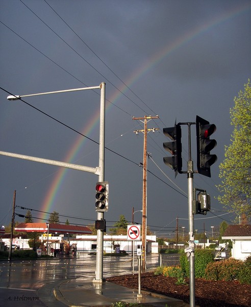 Where's the Pot Of Gold