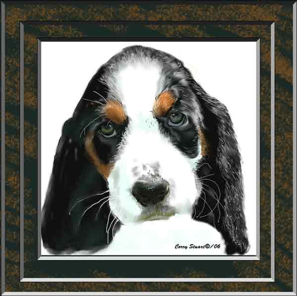 Dudley