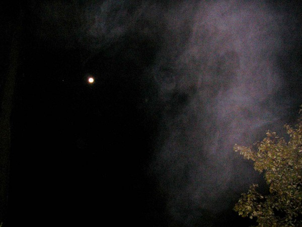 Spooky Mist