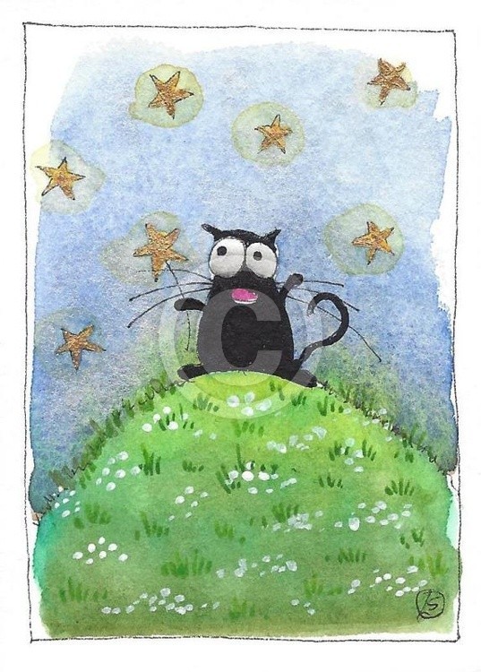A Shooting Star