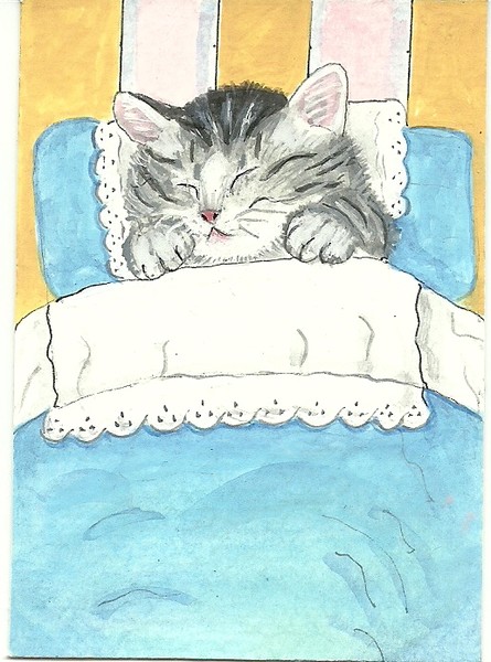 Little Sleeping Kitty