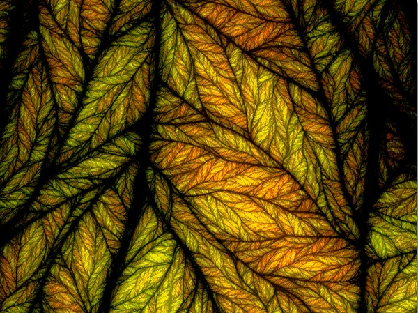 In Autumn's Suset