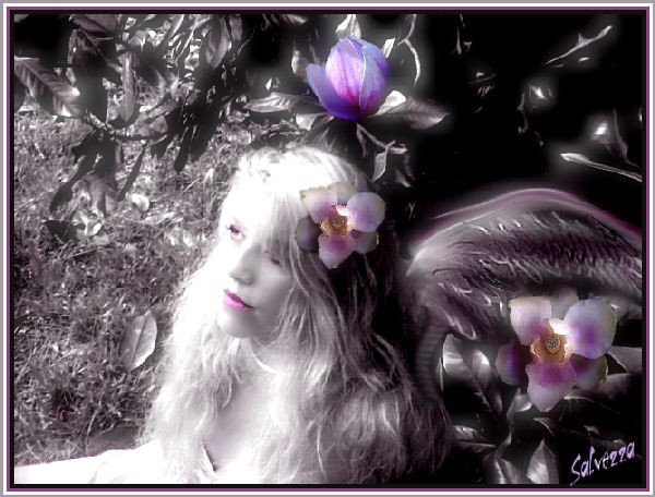 Angels Among Us