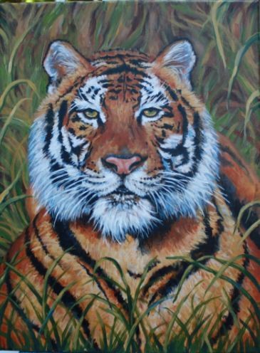 Bengal Tiger