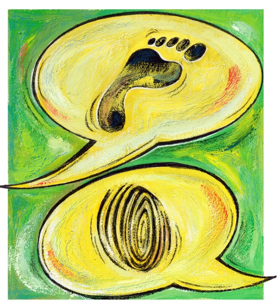 illustration