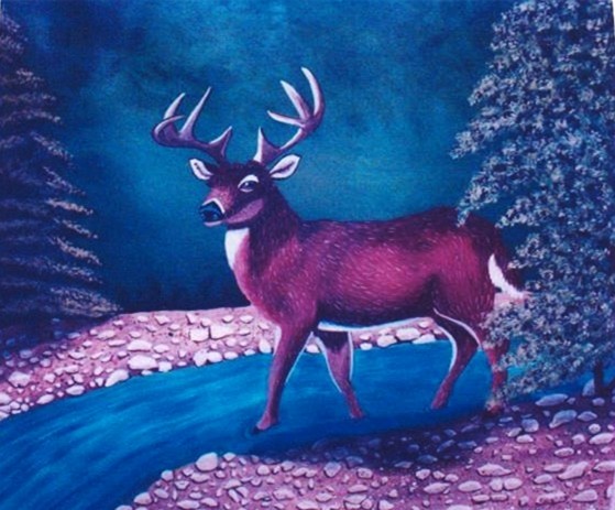 Deer on Creek