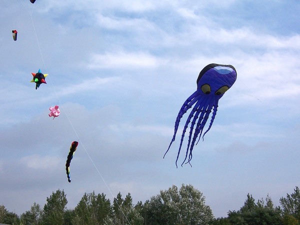 Kites