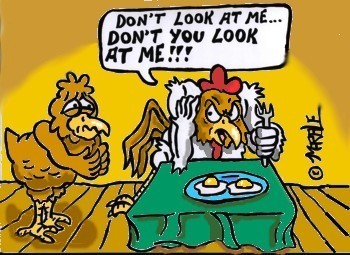 Egg Guilt