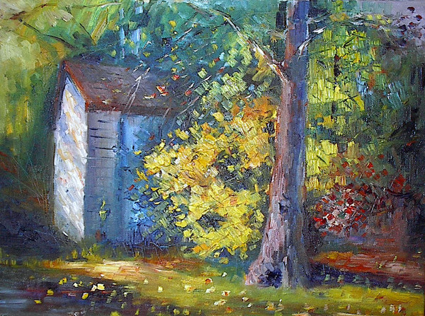 Fall colours in our backyard