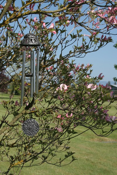 Musical Chimes in the Dogwood