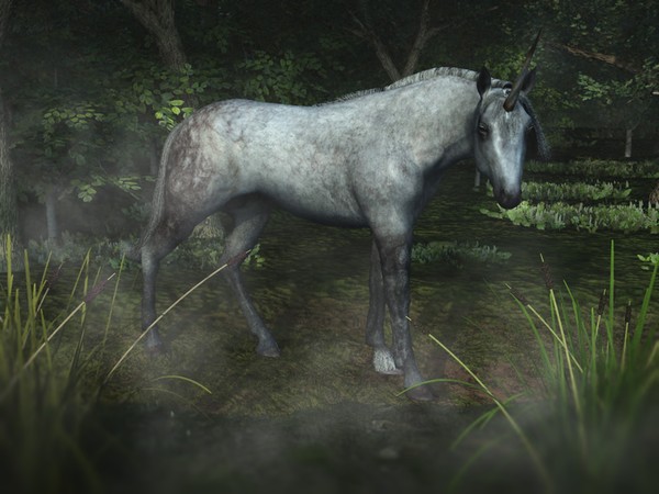 Ugly One-horned Mule