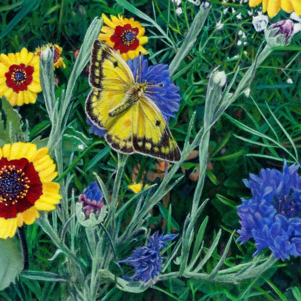 Square Art - Butterfly1 Wildflowers Floral