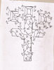 ivy cross