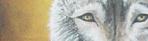 Wolf Eyes