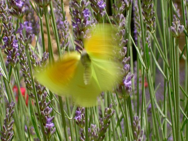 Movement
